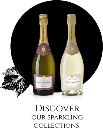 Discover our sparkling collections